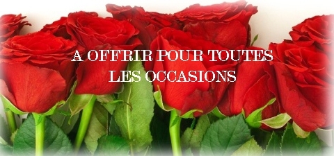 roses rouges